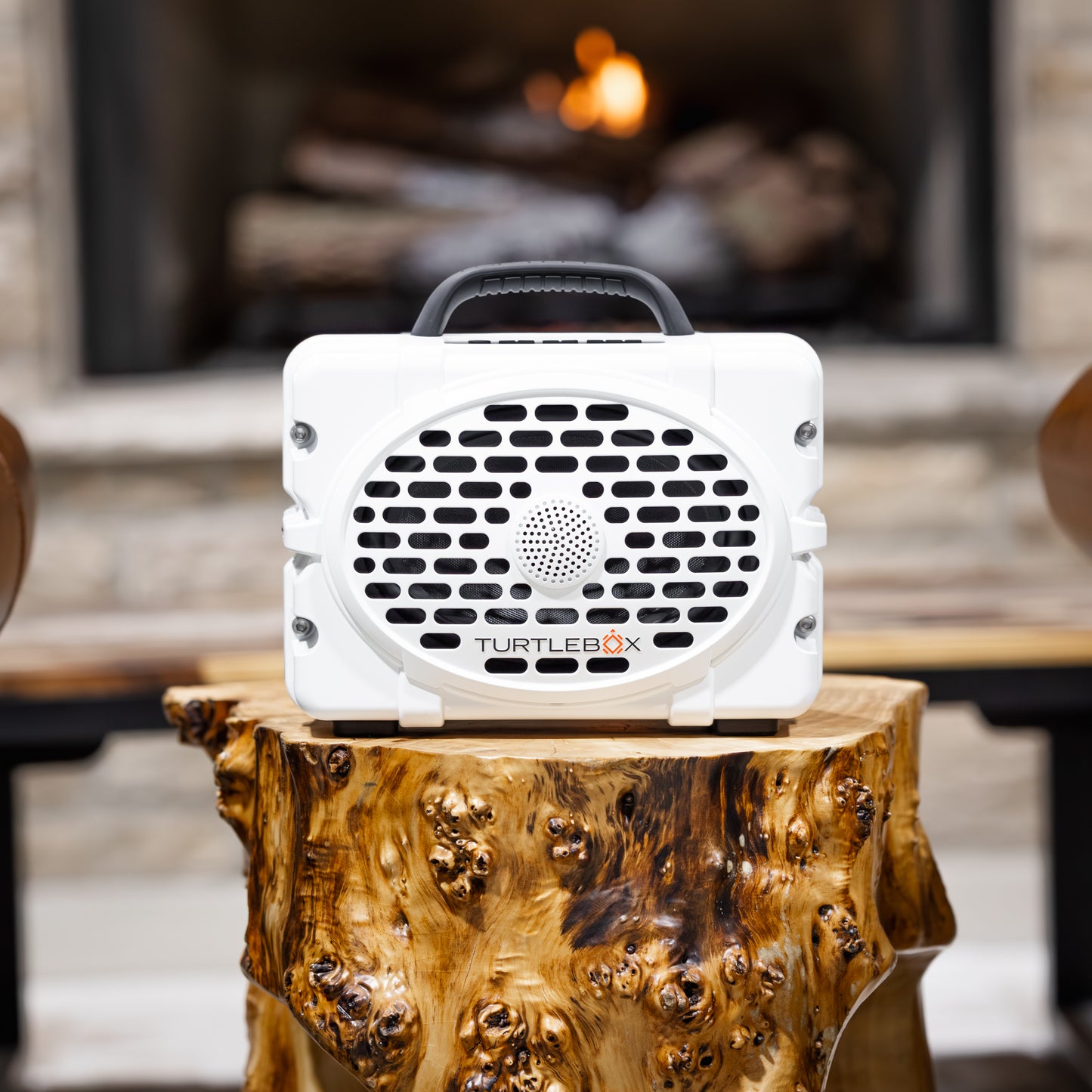 TurtleBox Gen 3 Custom Speaker