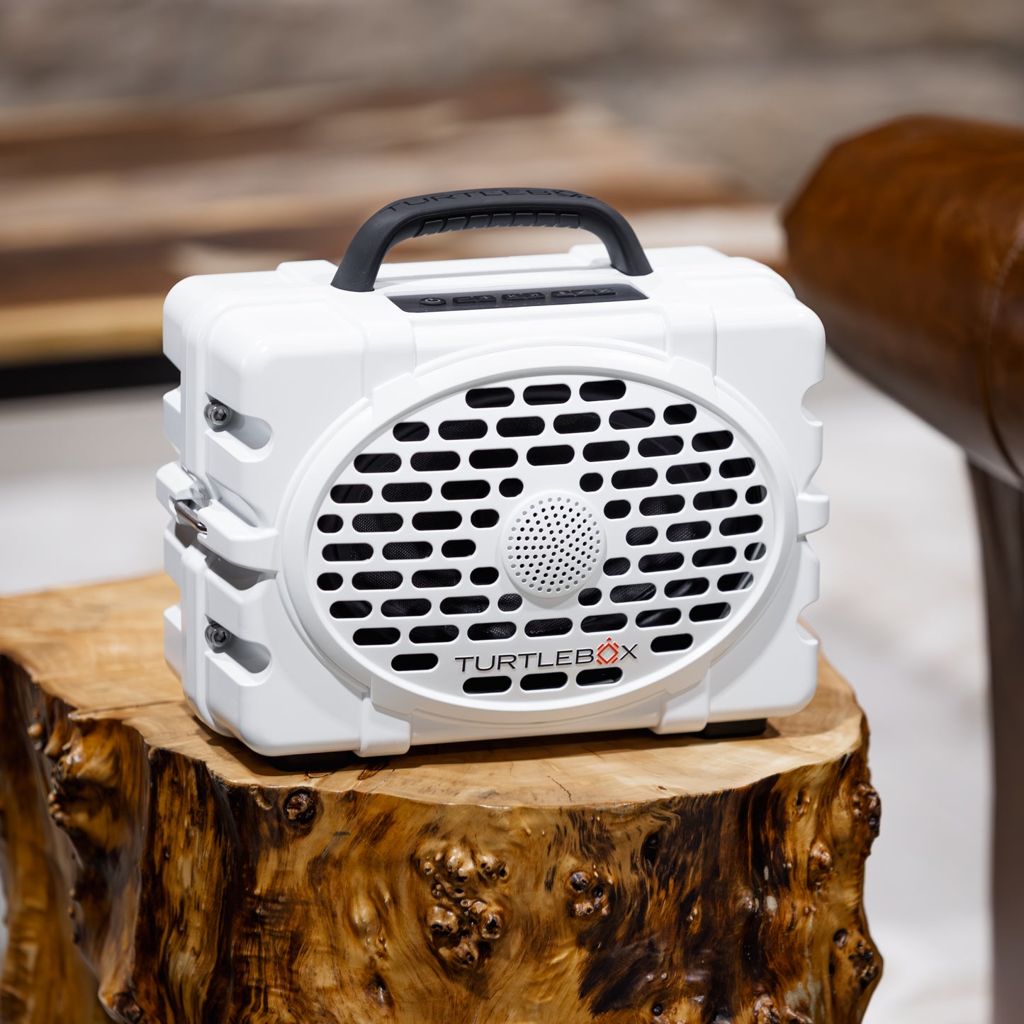 TurtleBox Gen 3 Custom Speaker