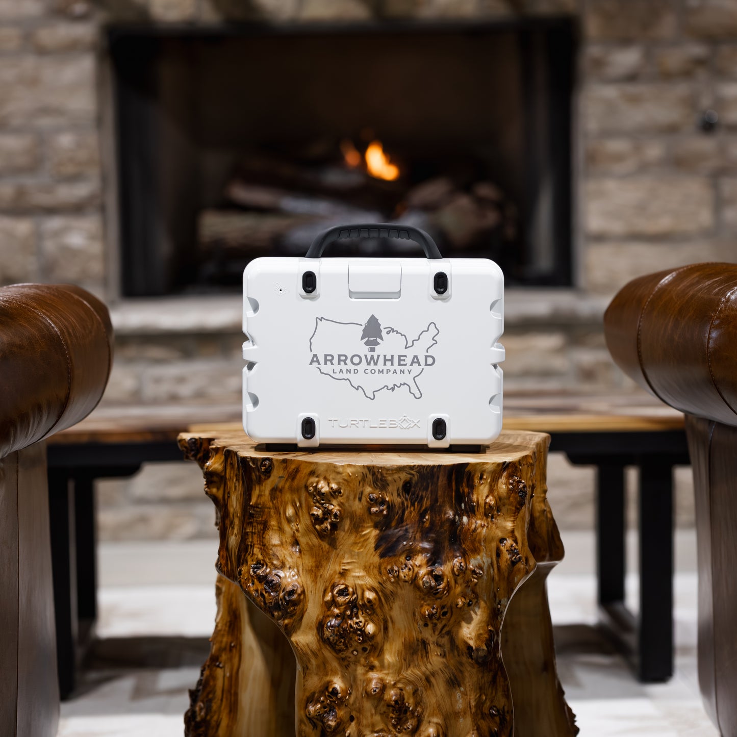 TurtleBox Gen 3 Custom Speaker