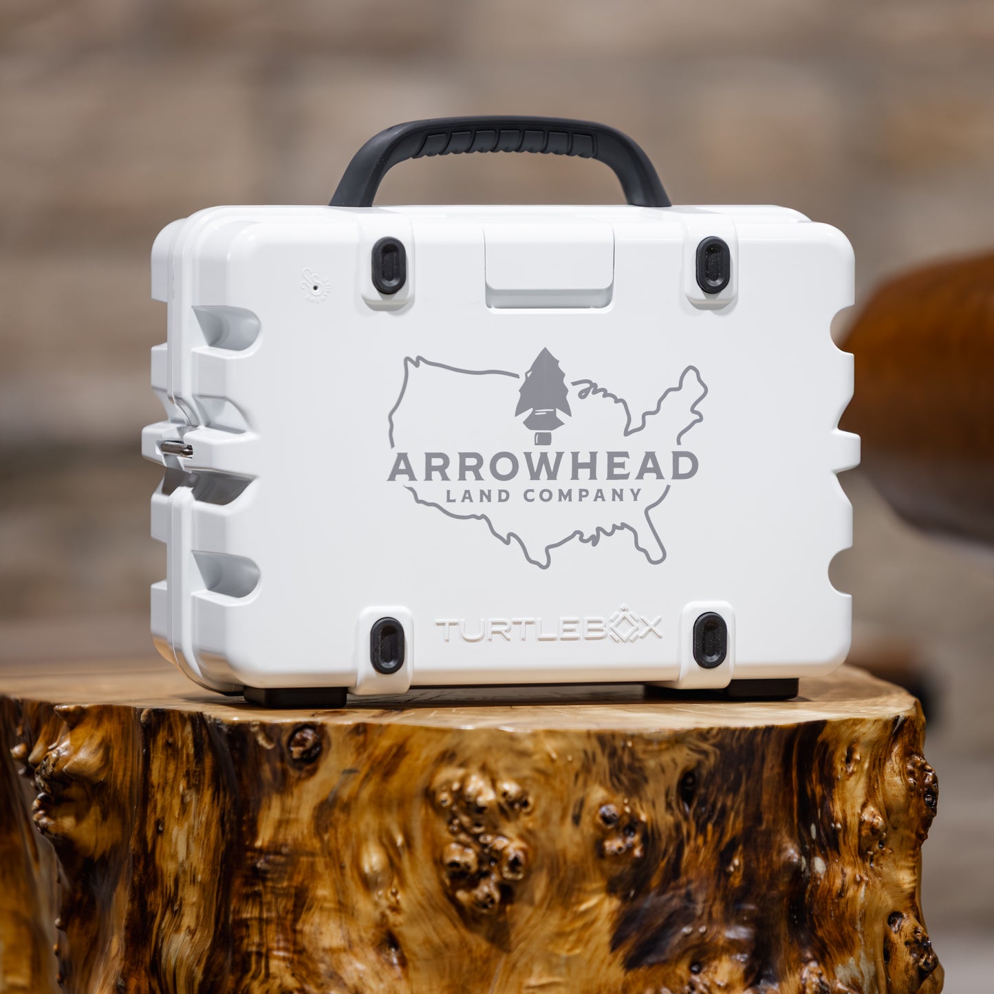 TurtleBox Gen 3 Custom Speaker