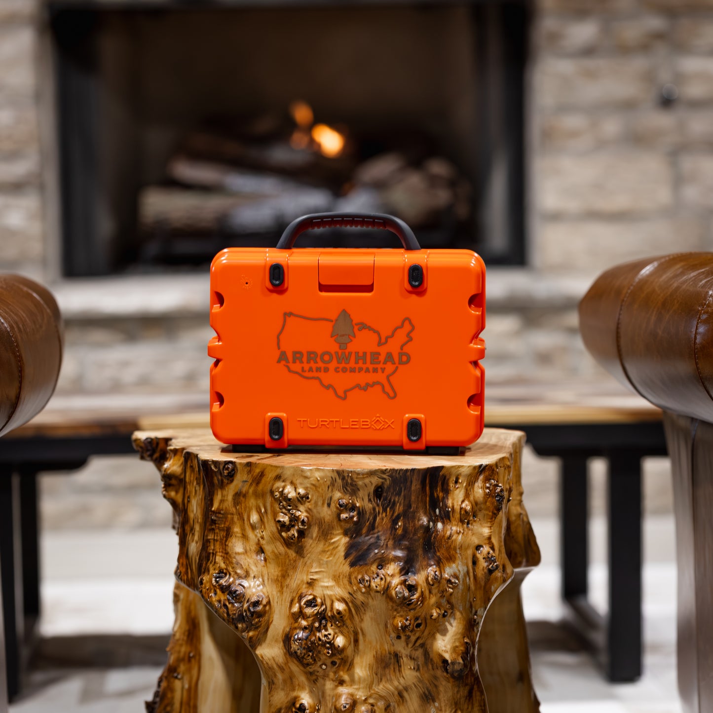 TurtleBox Gen 3 Custom Speaker