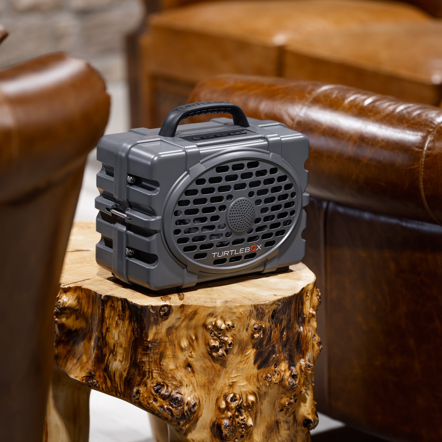 TurtleBox Gen 3 Custom Speaker