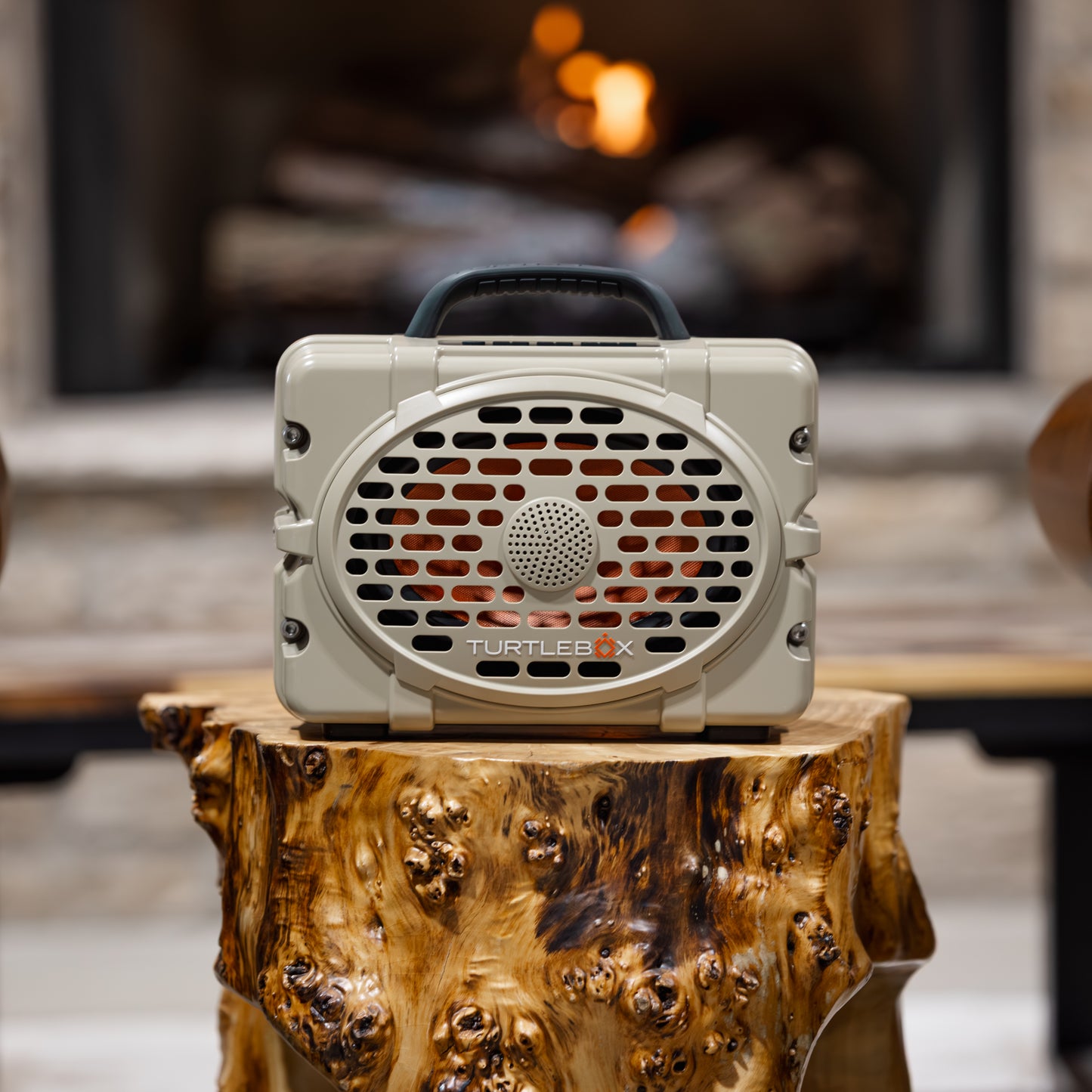 TurtleBox Gen 3 Custom Speaker